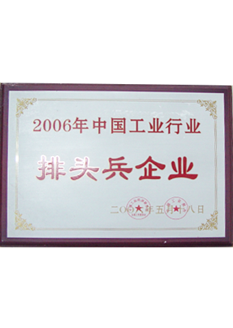 戴維醫(yī)療_2006年中國(guó)工業(yè)行業(yè)排頭兵企業(yè)